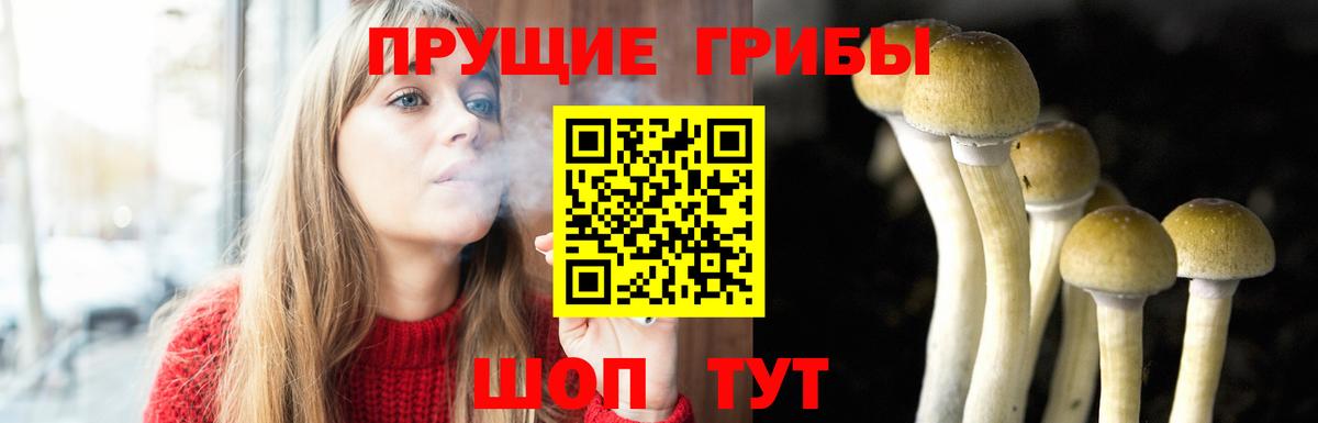 Саяногорск  Псилоцибиновые грибы мухоморы  Вход с VPN 